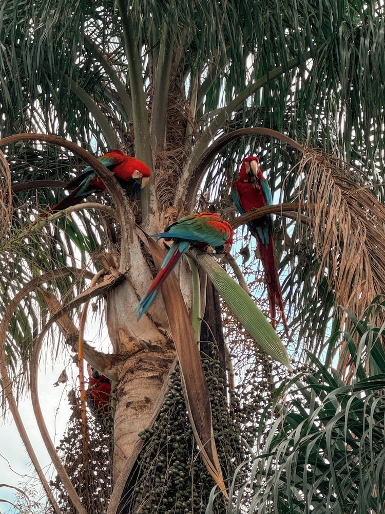 Wild Wetlands Lodge