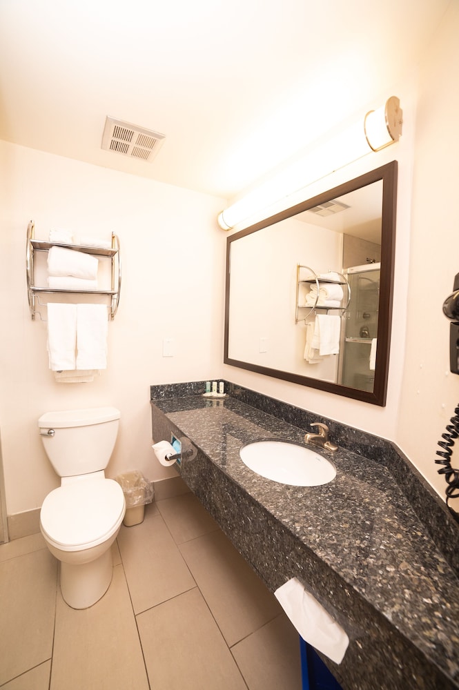 Quality Hotel - Property Image 32