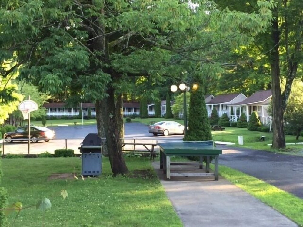 Adirondack Oasis Motel