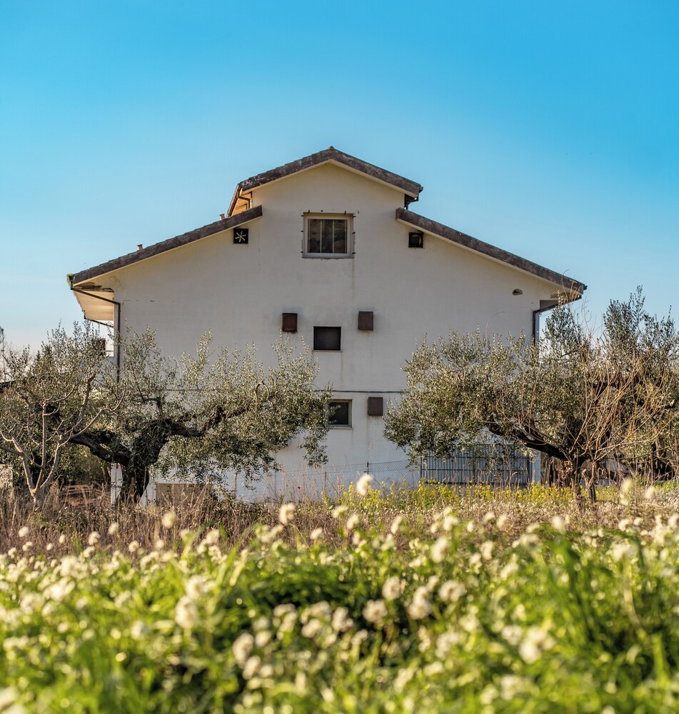 Ca'Martelli Campo di Stelle