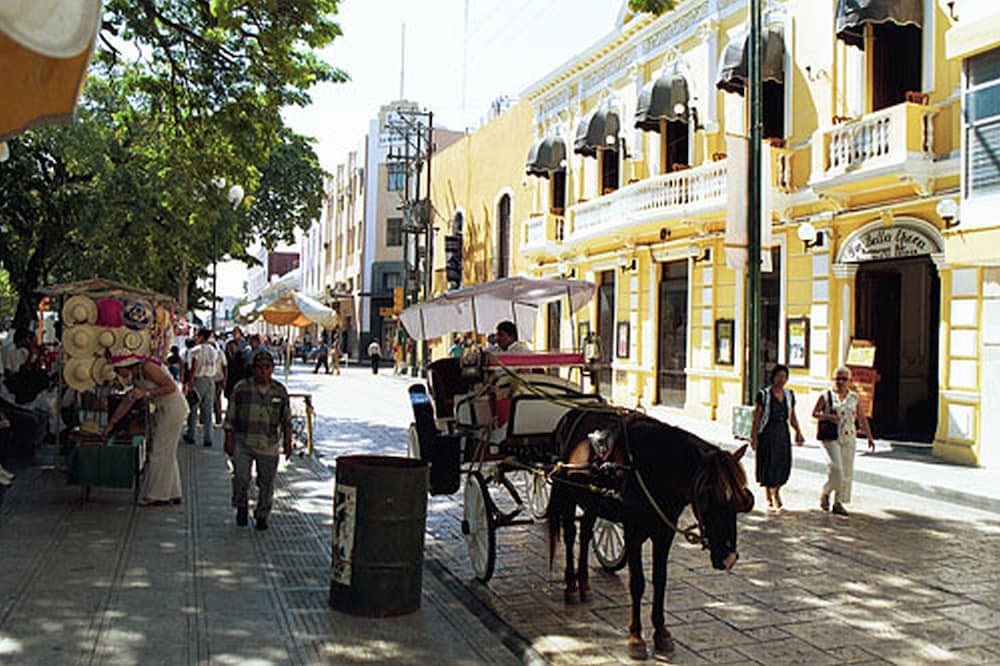 Tranquil Tropical Oasis in the Historic Center