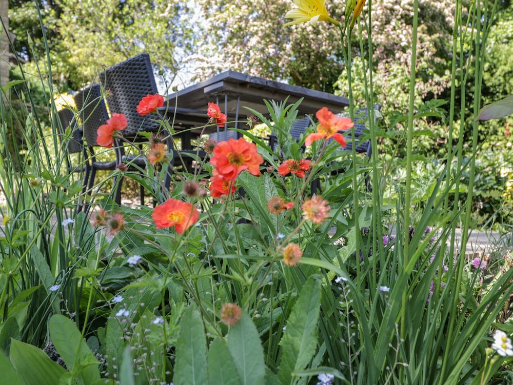 Fox Den Cottage