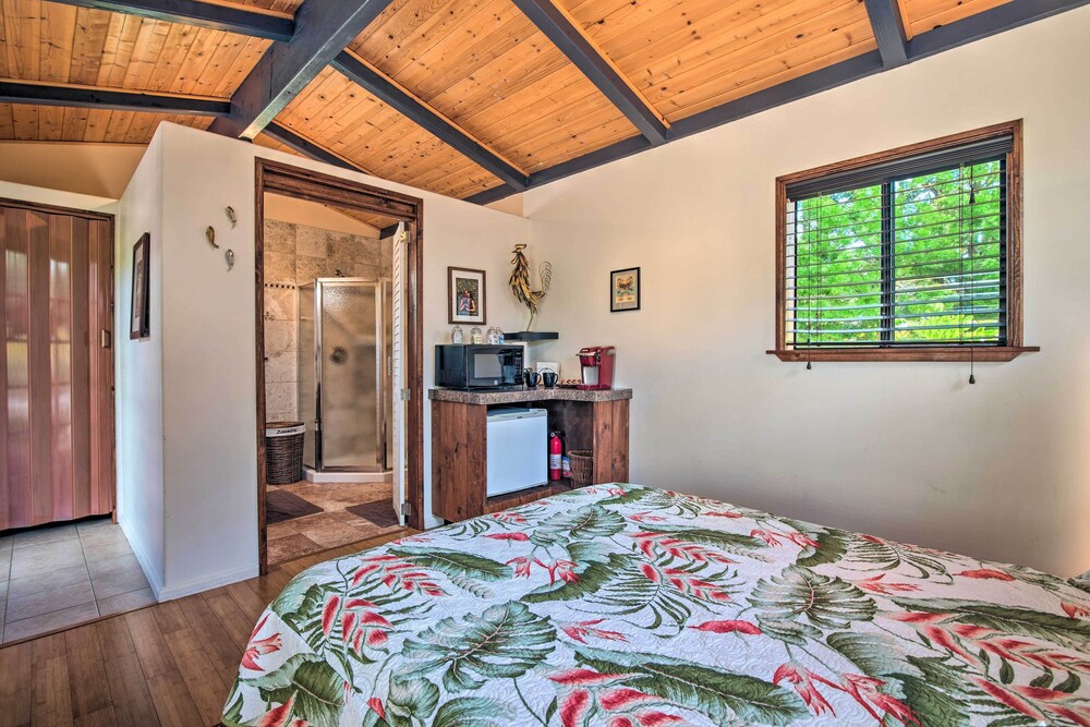 Cozy Volcano Studio w/ Phenomenal Rainforest Views view 5