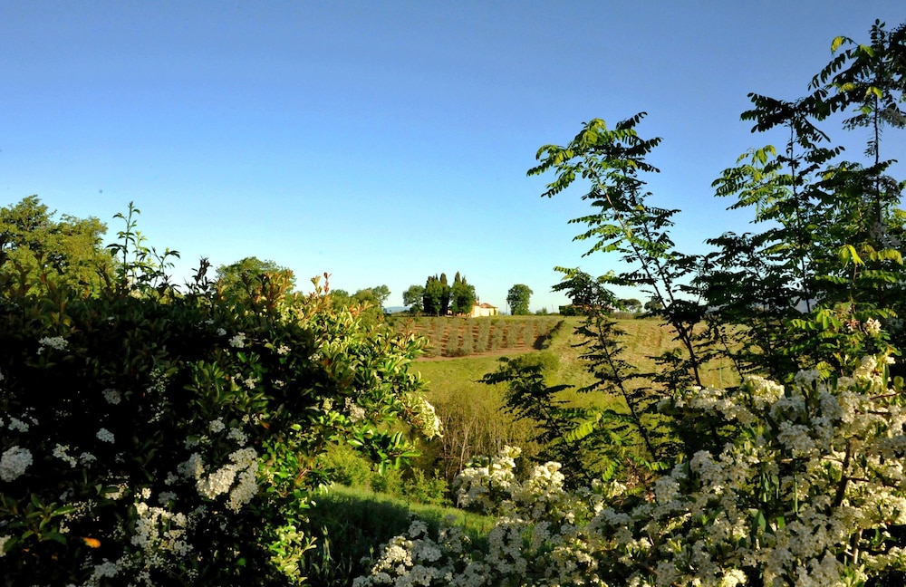 Il Pino Bioagricoltura