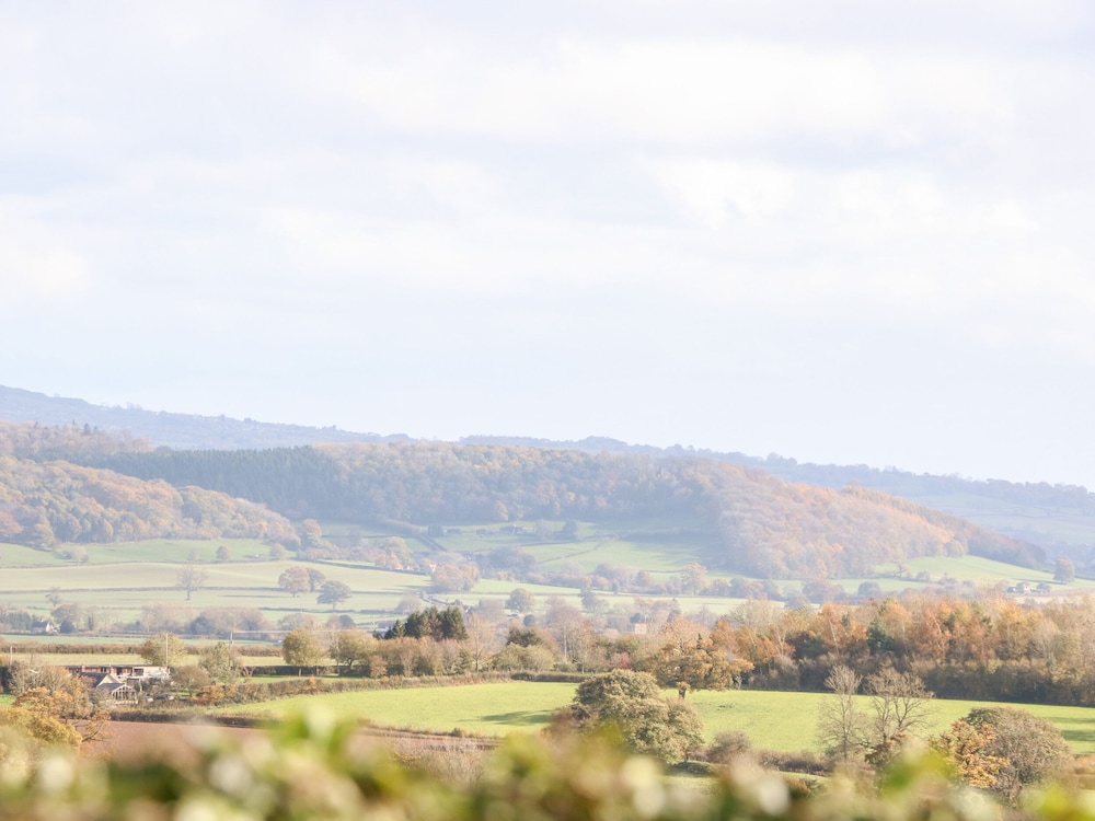 The Onibury