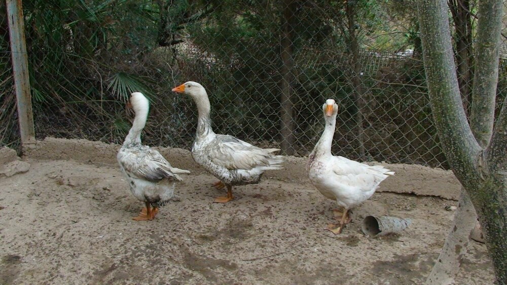 Photo 24