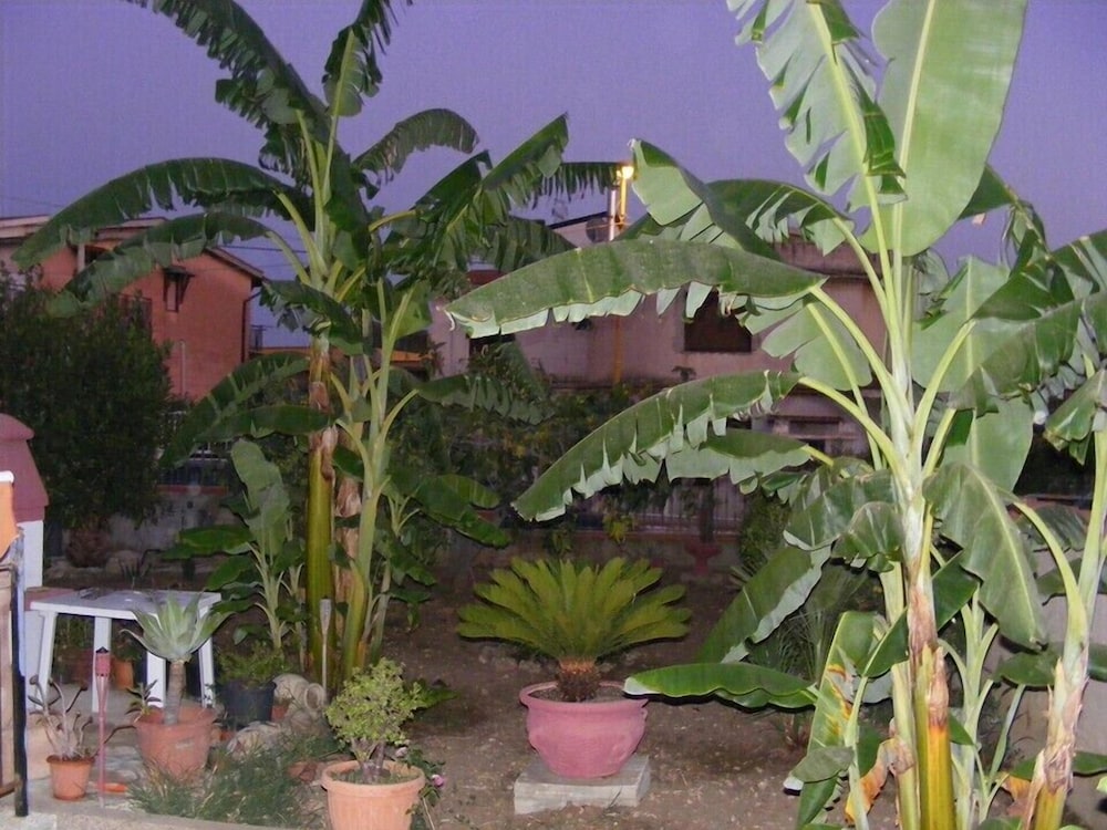 B&B Terra del Sole photo 5