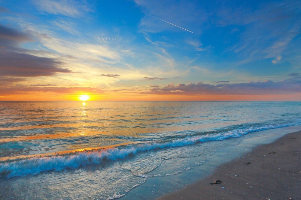 Hidden Treasure on Lido Key