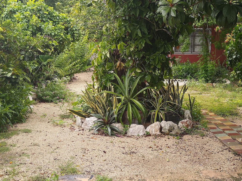 Casa Hostal Mamey - Hostel view 4