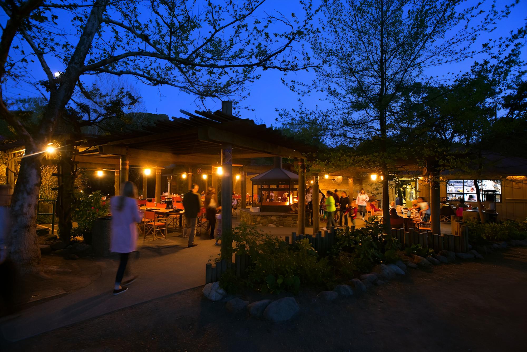 Napa Valley / Sonoma Vacations - Safari West - Property Image 4