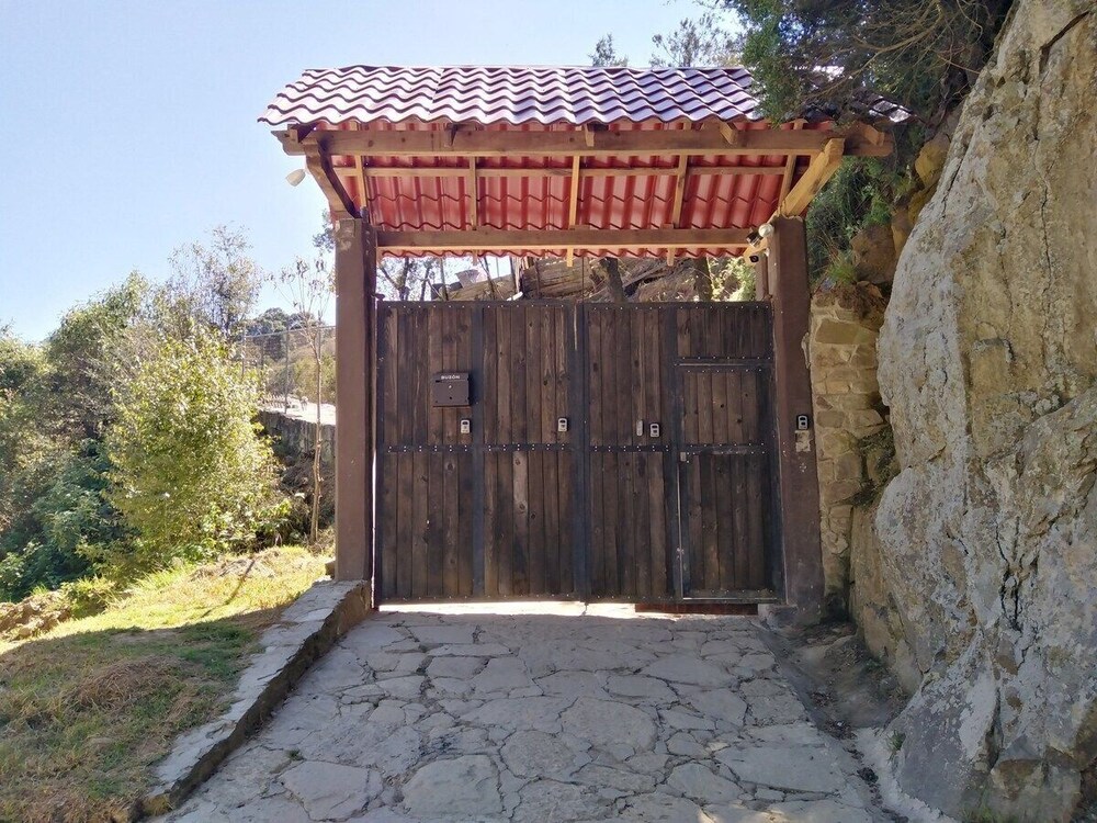 Photo 8