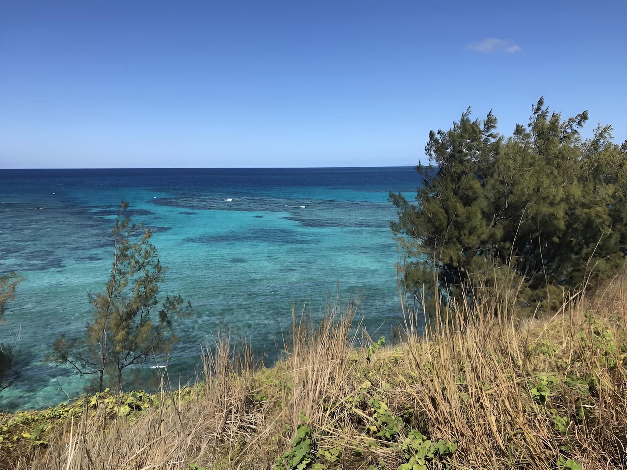 Yasawa Homestays