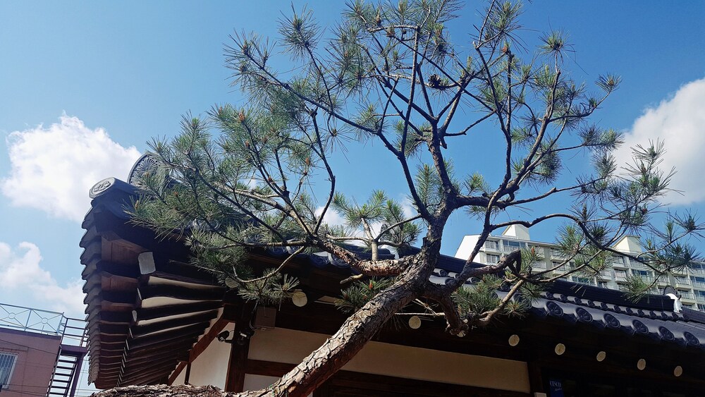 Misori Guesthouse
