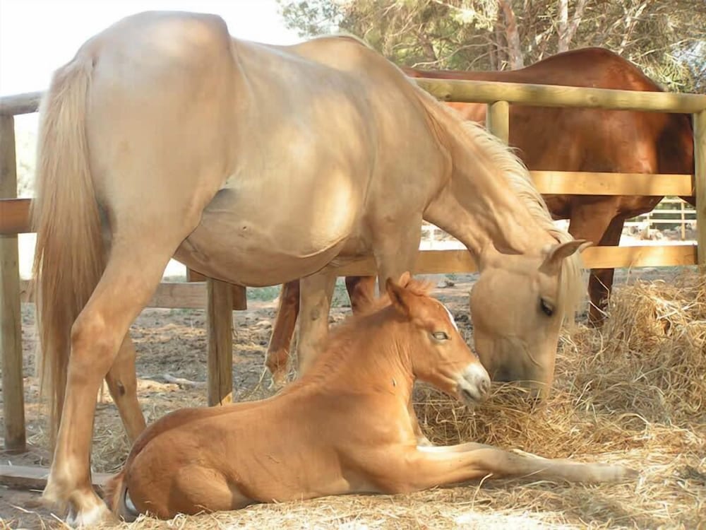 Agriturismo Agave