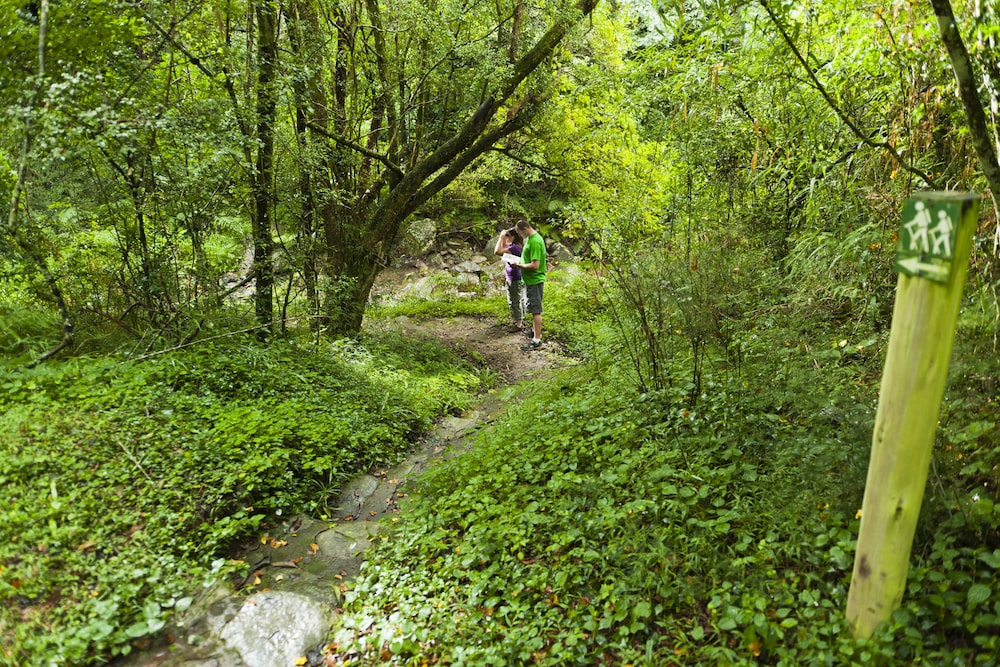 Rockwood Lodges