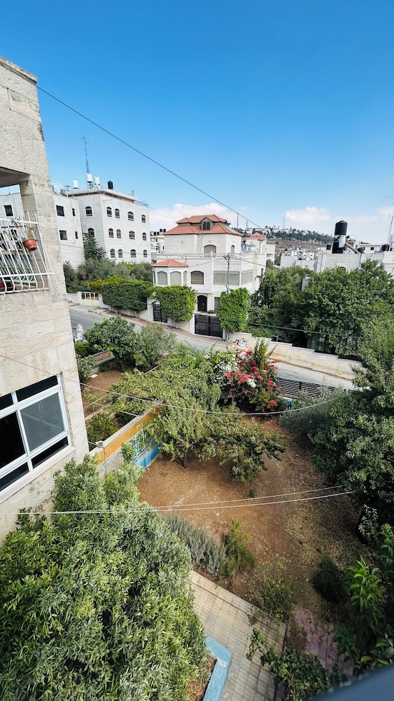 OliveTreeHostel, photo 31
