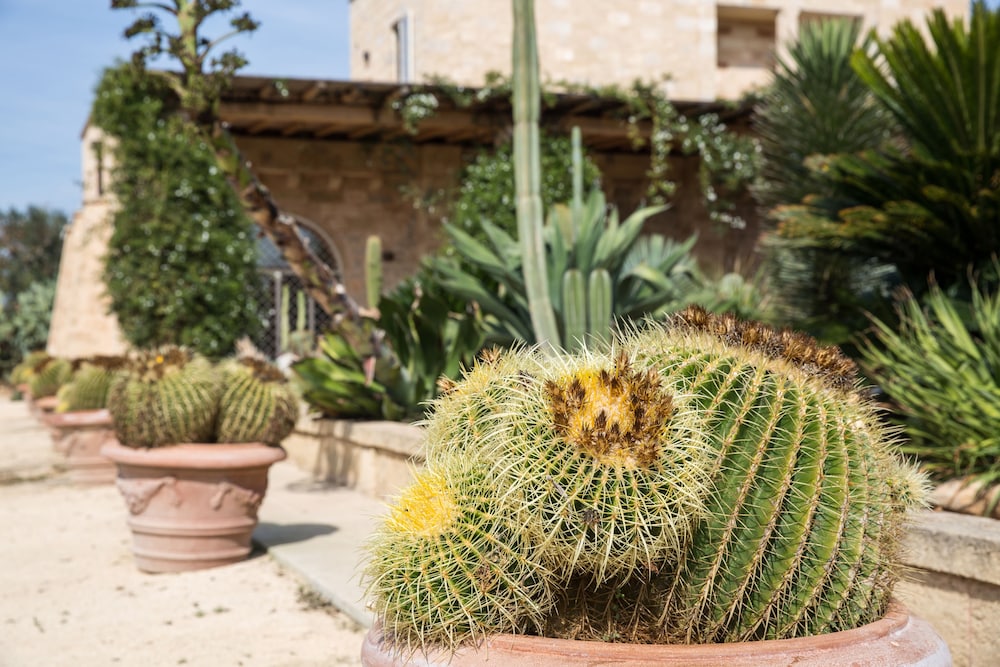 Masseria Saietti