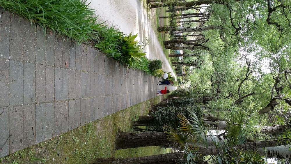 Photo 47