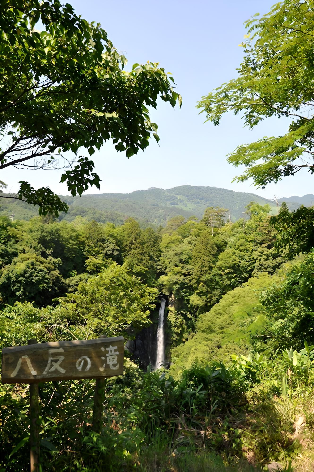 Nashikisou