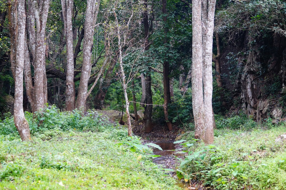 Secret Valley Jungle Resort