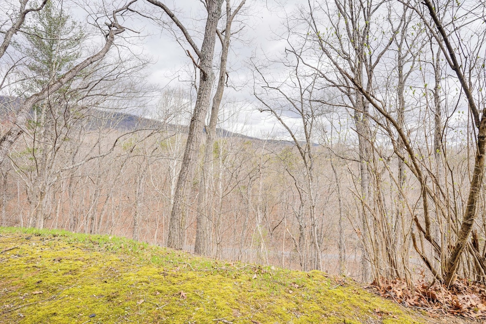 Luray 'black Walnut Cabin' on 2 Acres w/ Fire Pit!