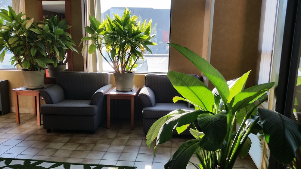 Avenue Motel
