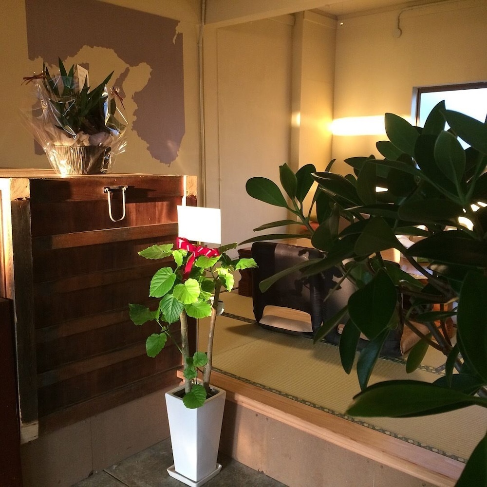 Sana Inn Town - Hostel