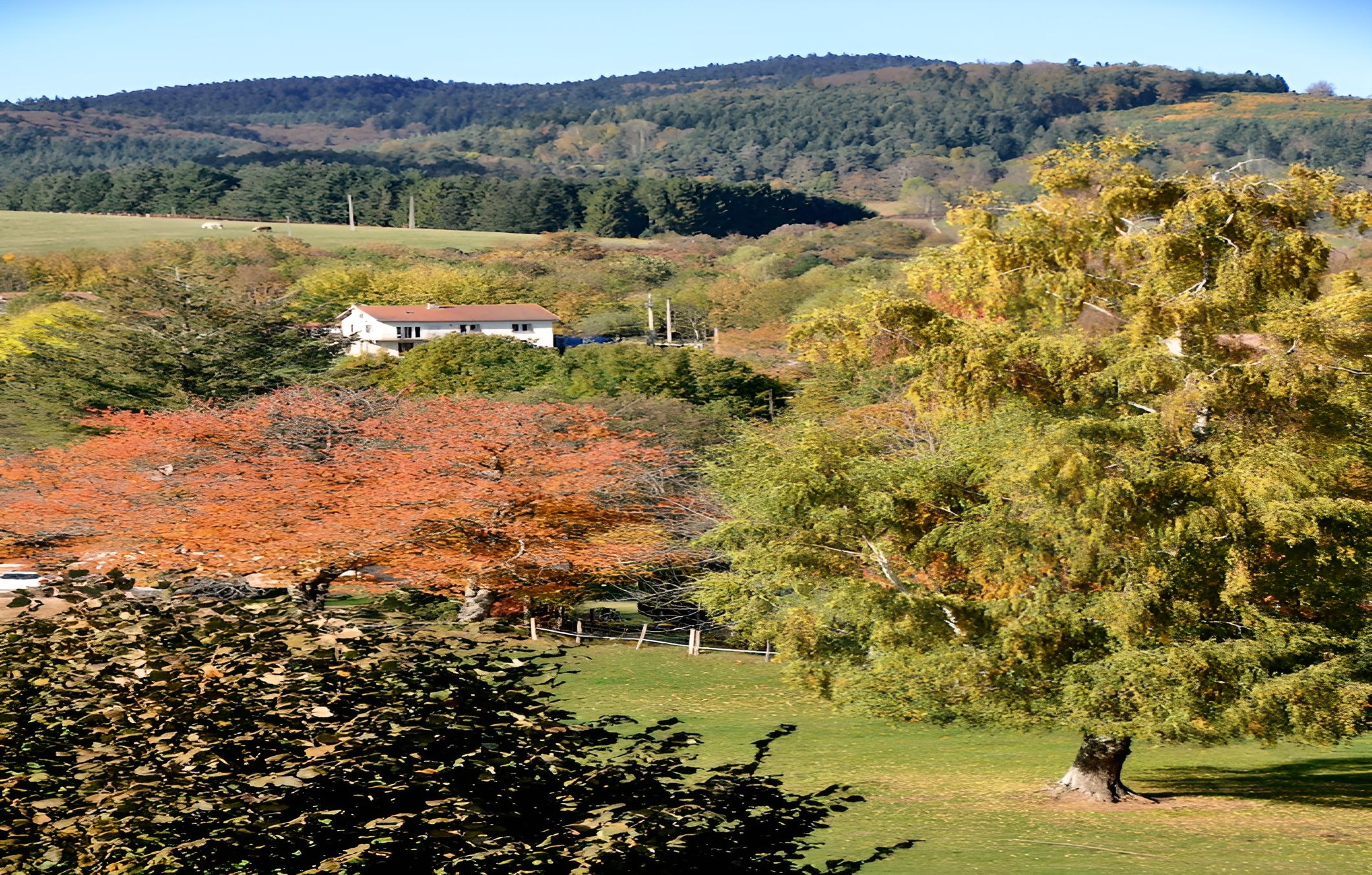 Logis Hôtel Au Rendez-Vous des Chasseurs