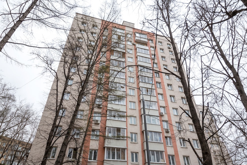 Donskoy Studio