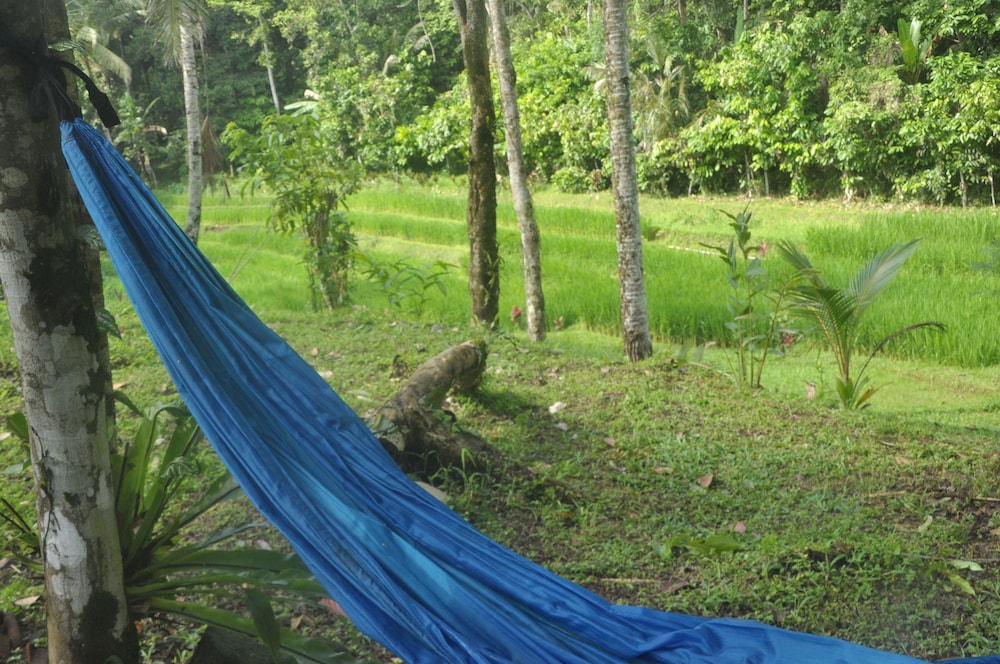 Tepi Sawah Lodge