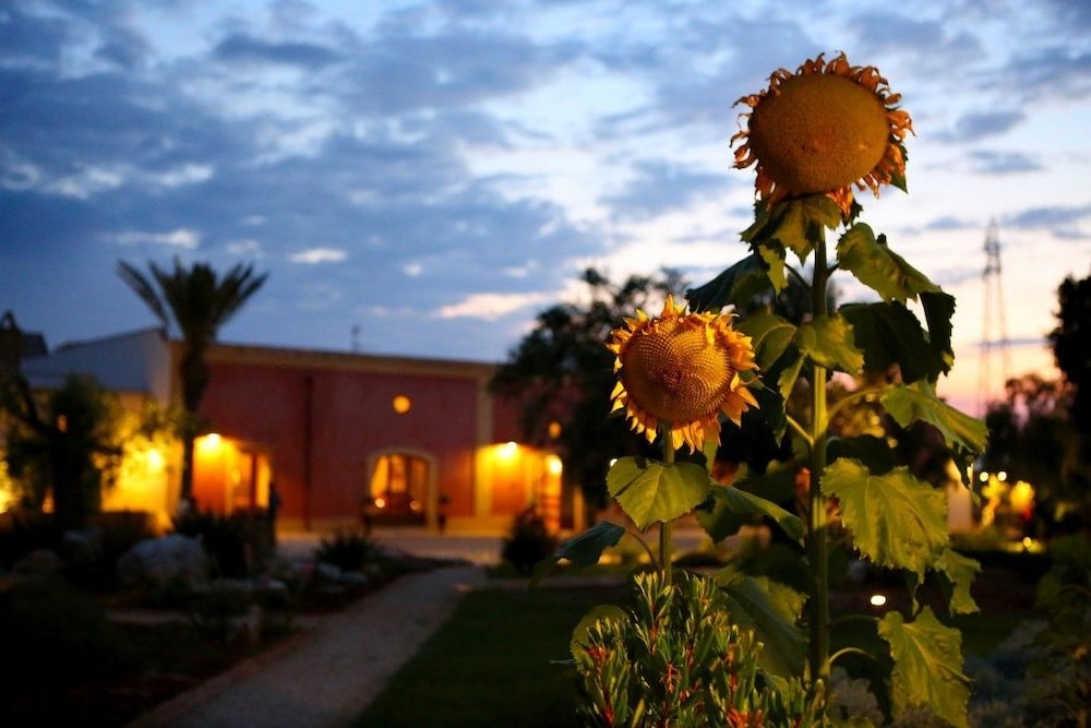 Masseria Gialli