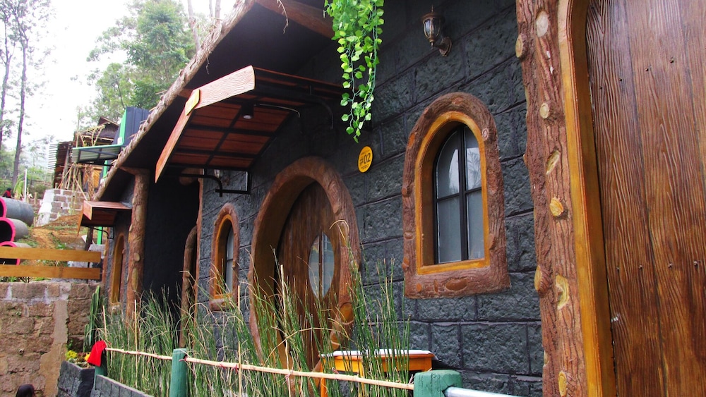 Photo 19