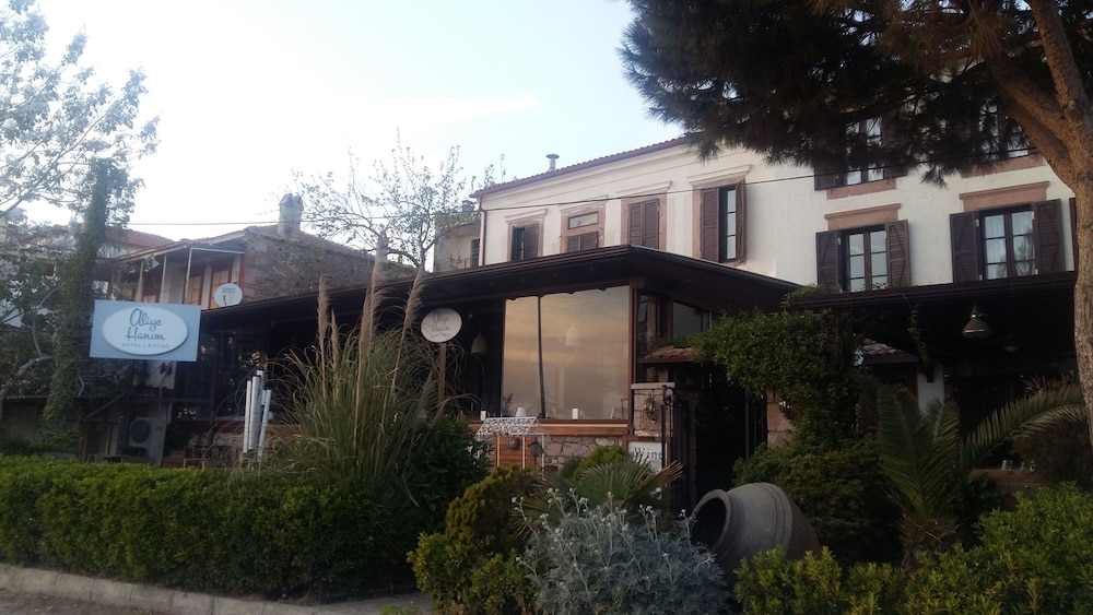 Aliye Hanım - Image 13