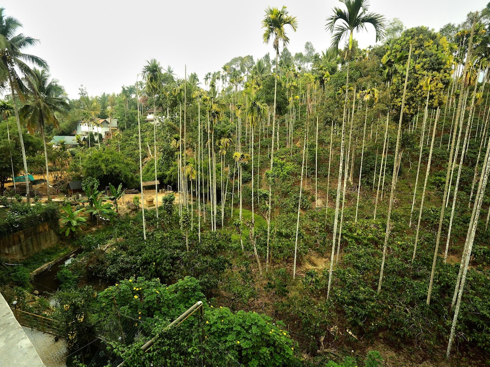 OYO 11516 Wayanad Royal Stream