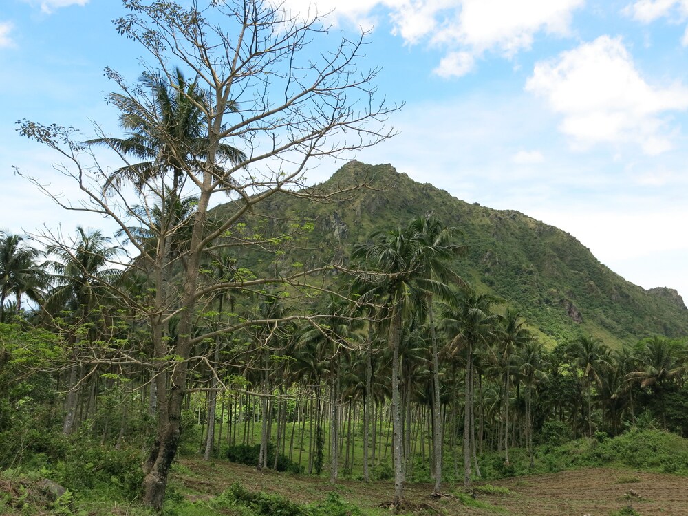 Camiguin Volcan Beach Eco Retreat & Dive Resort