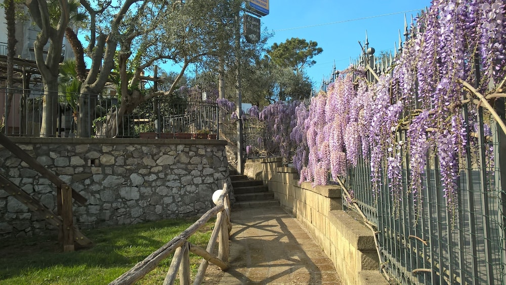 Photo 45