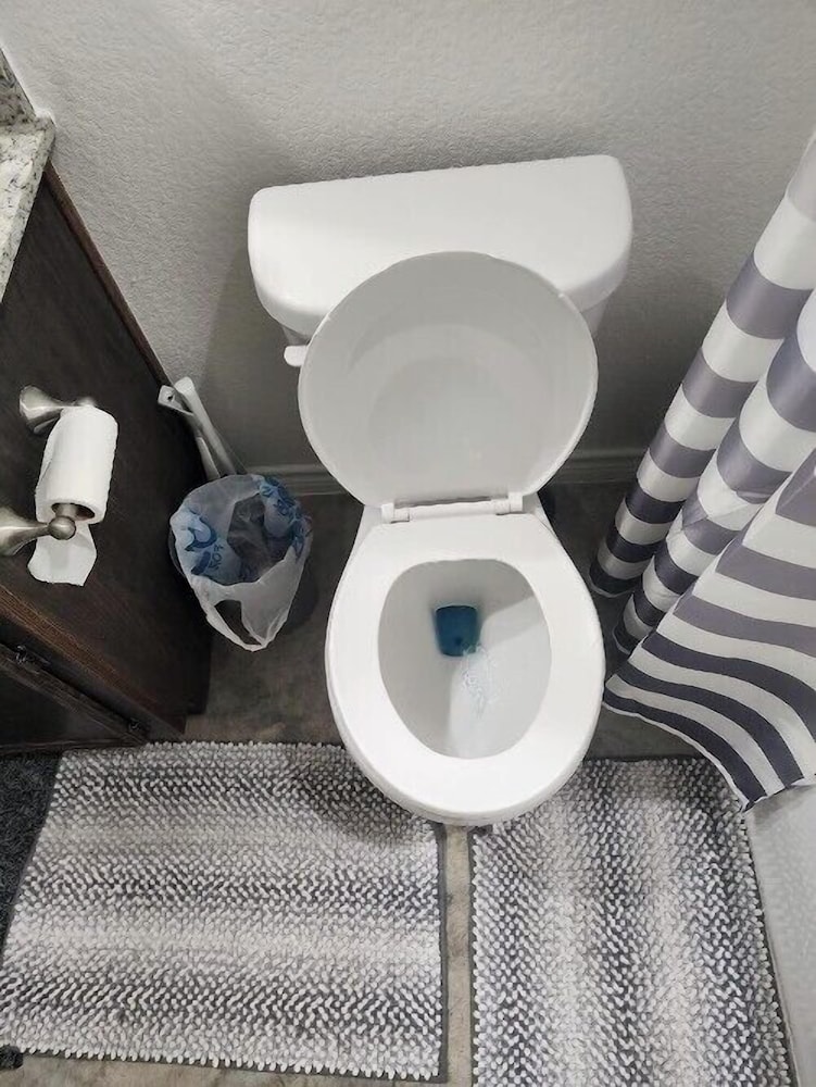 The Clean Home