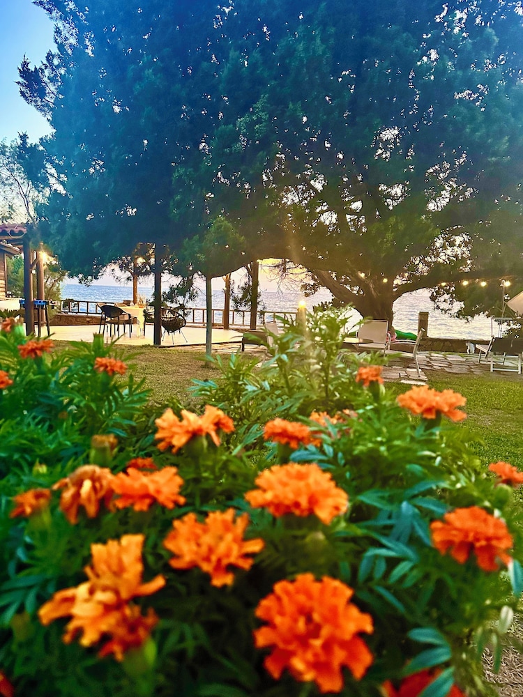 Genari Beach Apartments Garden View Retreat