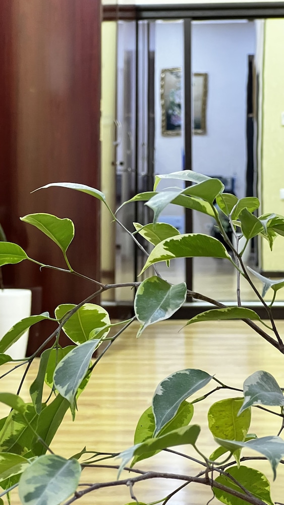 Hayot hostel view 2
