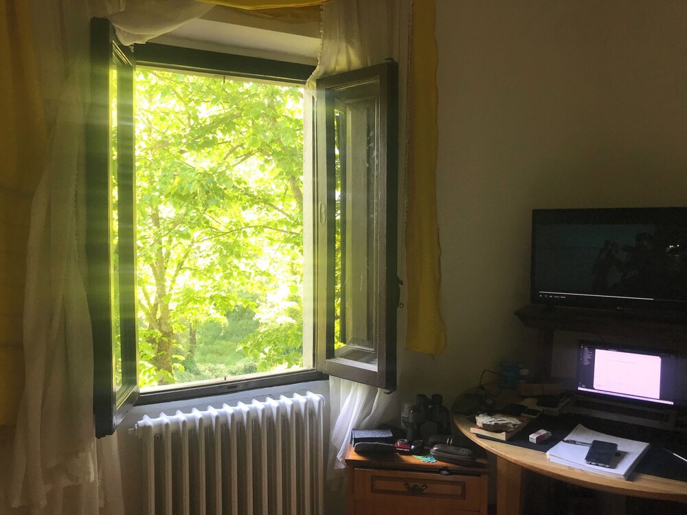 Photo 17