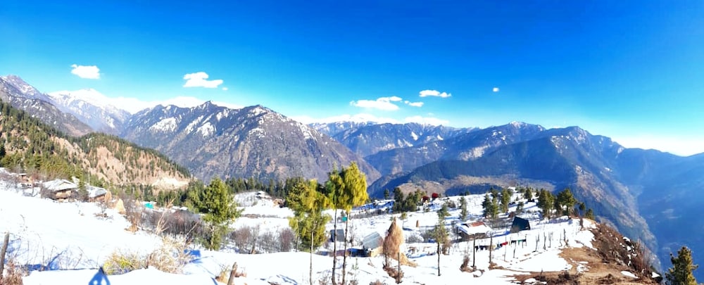 Vansh Green View Homestay view 4
