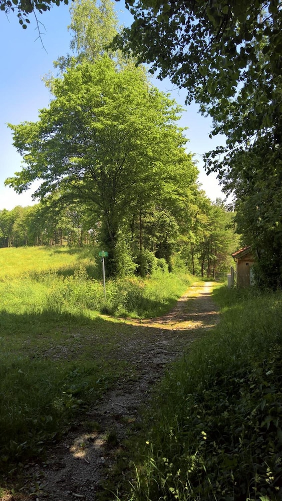 Photo 35