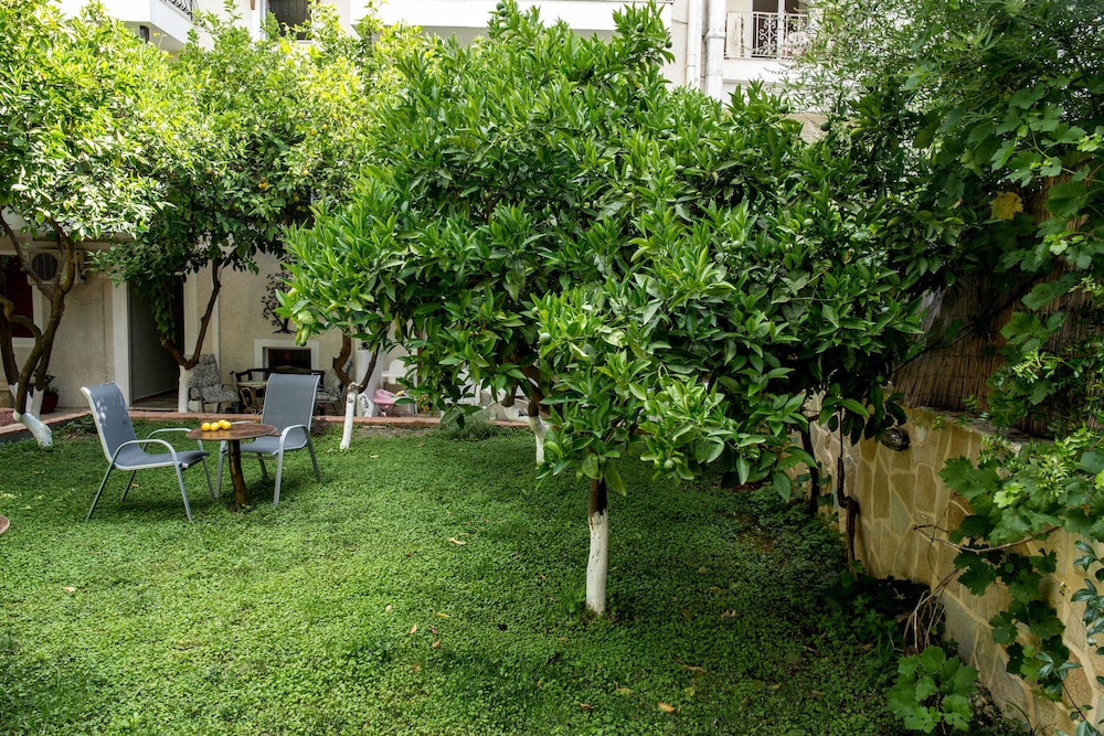 Oasis Apartments