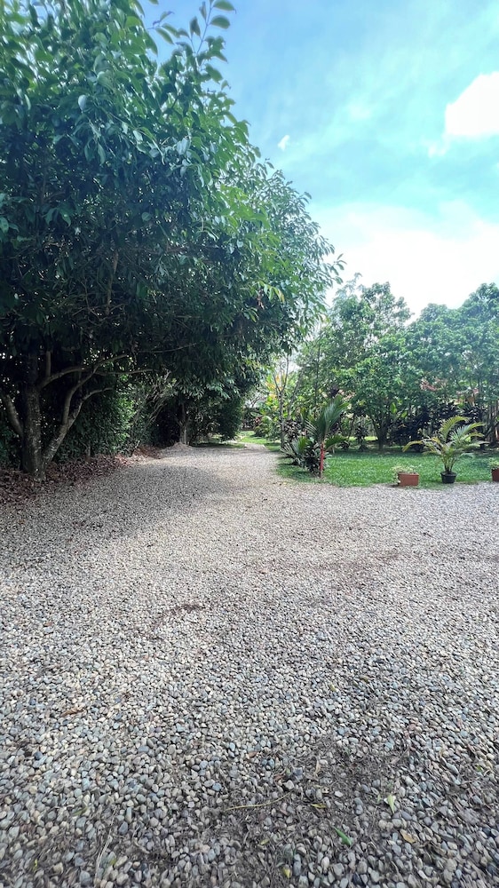 Luxury Glamping in Ruztico