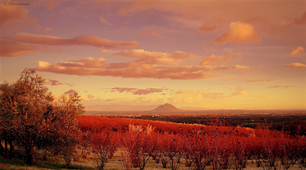 Il Maremmano