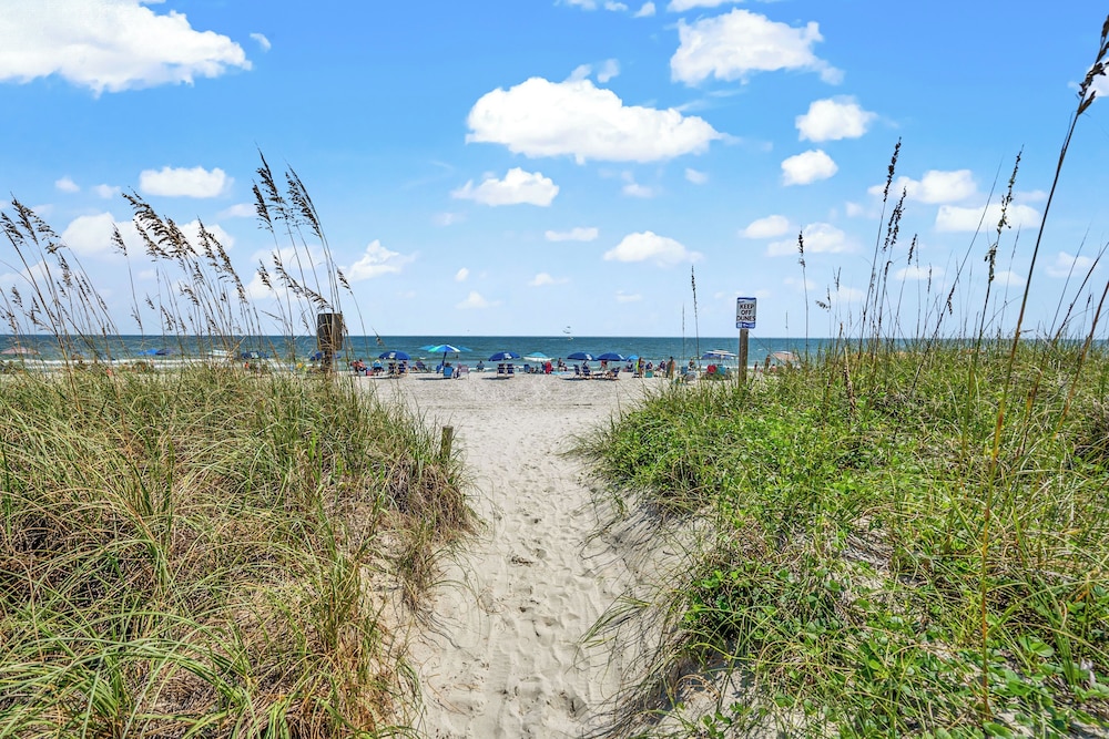 Tilghman Beach 316