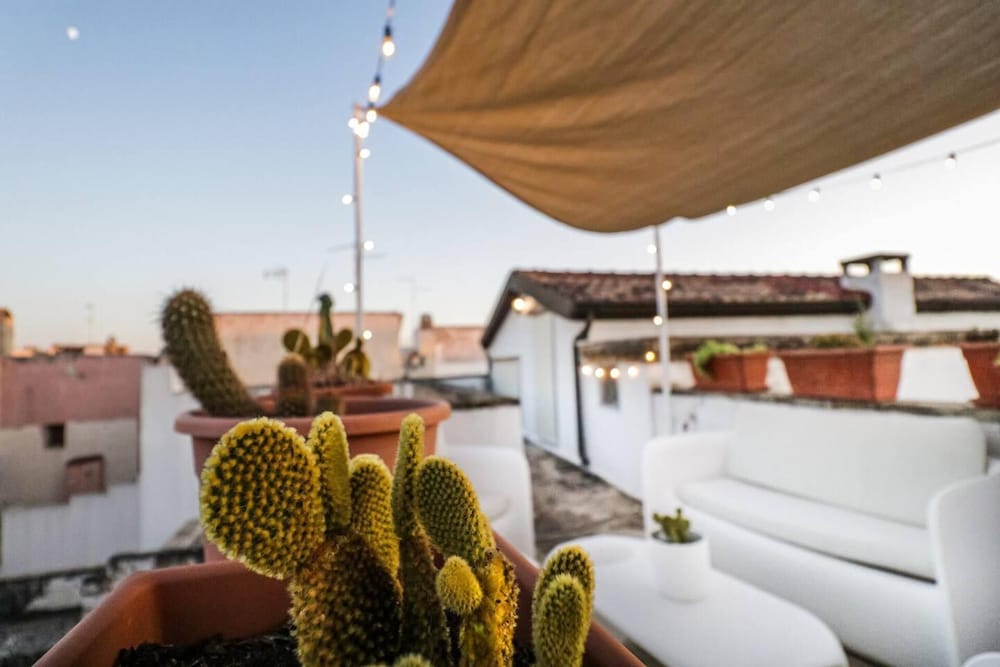 roof