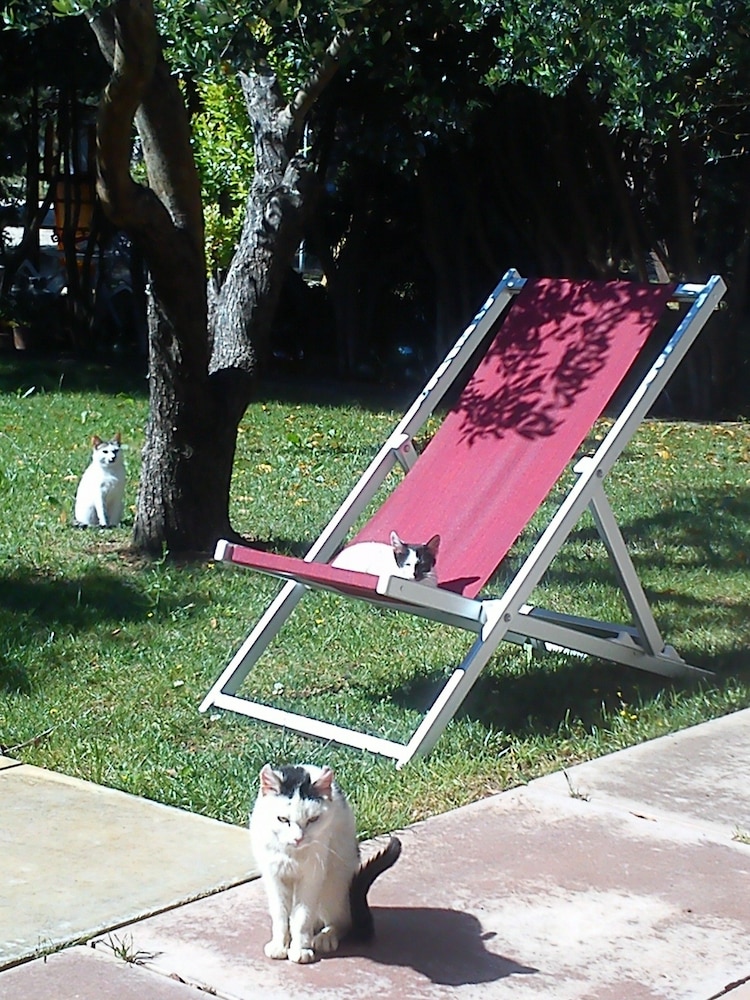 Residence Missipezza