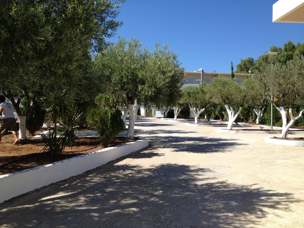 Photo 200