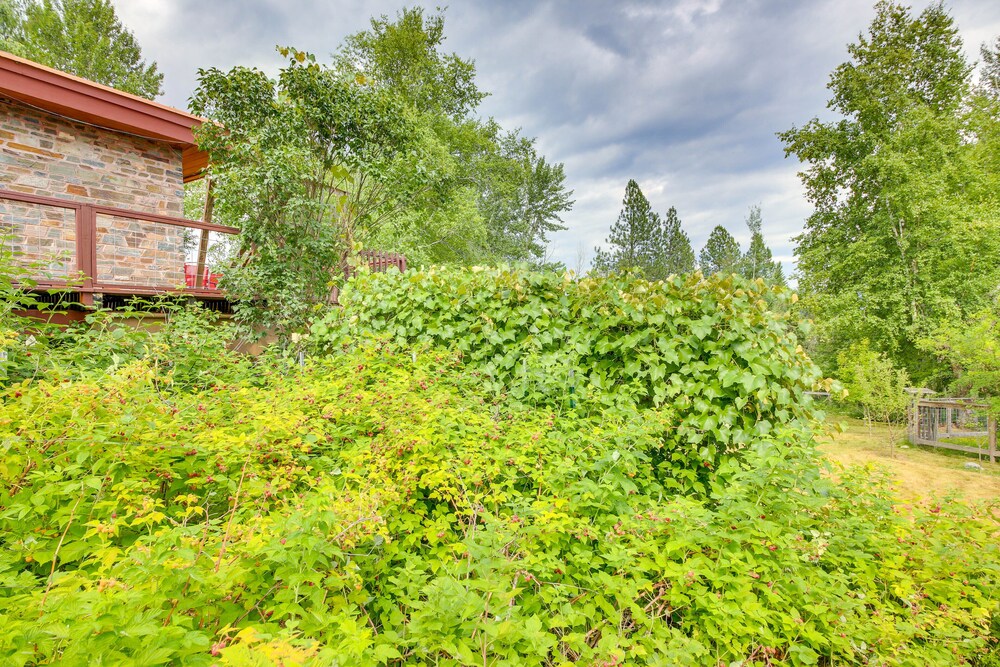 Sandpoint Vacations - 12 Mi to Schweitzer: Spacious Home w/ Deck! - Property Image 41